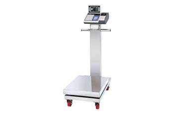 ADS-301 series wholesale platform scale